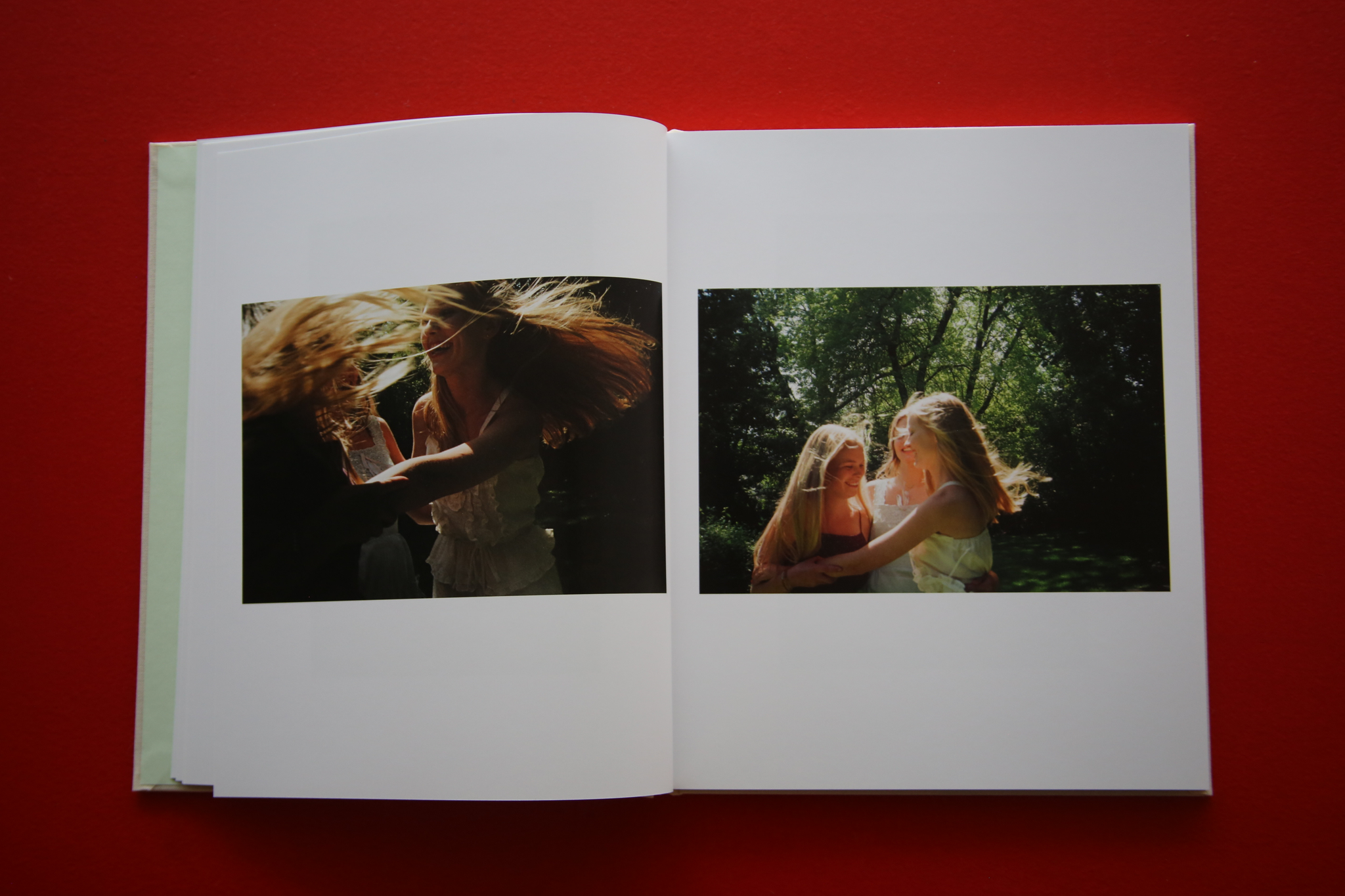 SOFIA COPPOLA / THE VIRGIN SUICIDES