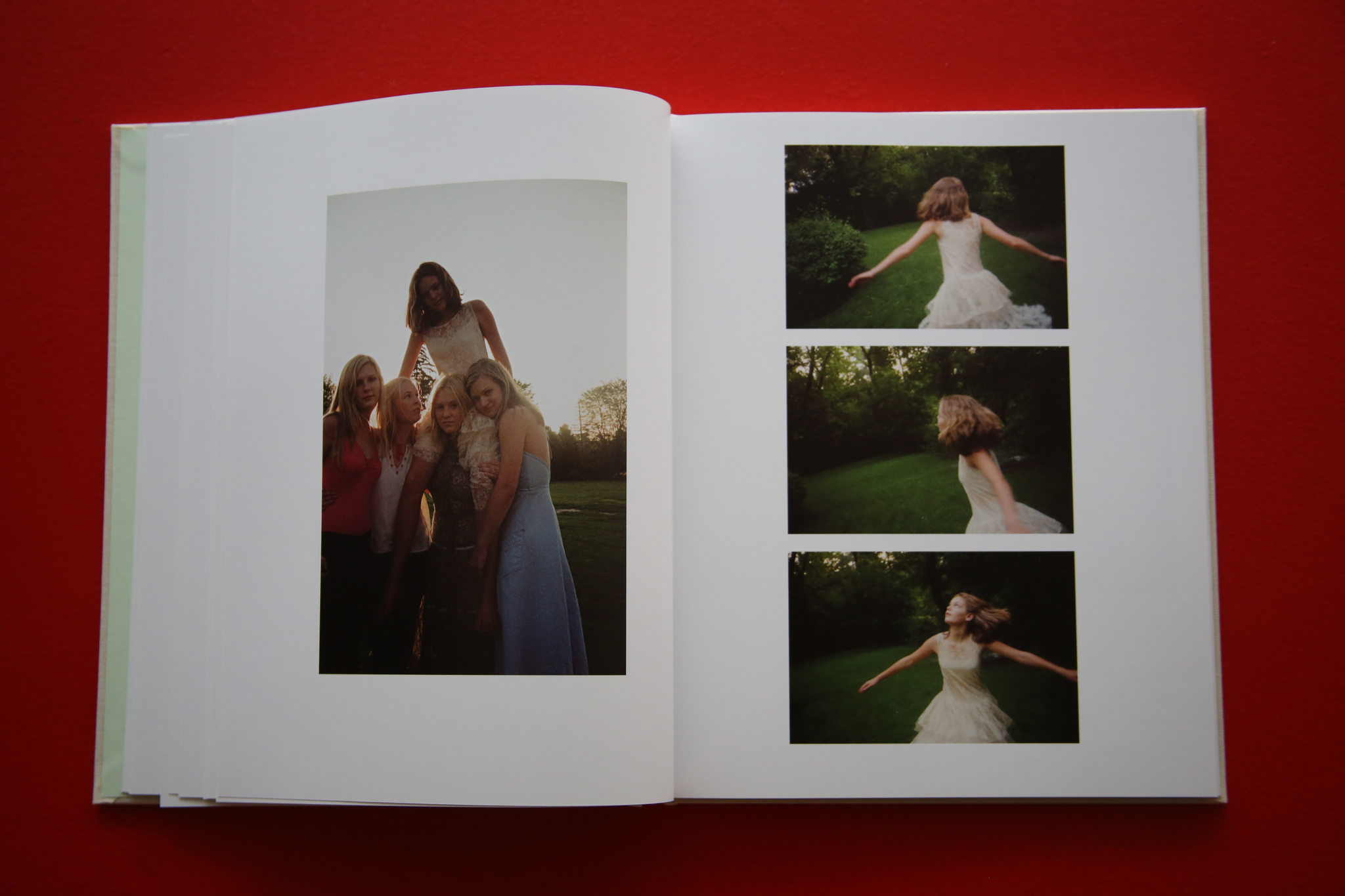 SOFIA COPPOLA / THE VIRGIN SUICIDES
