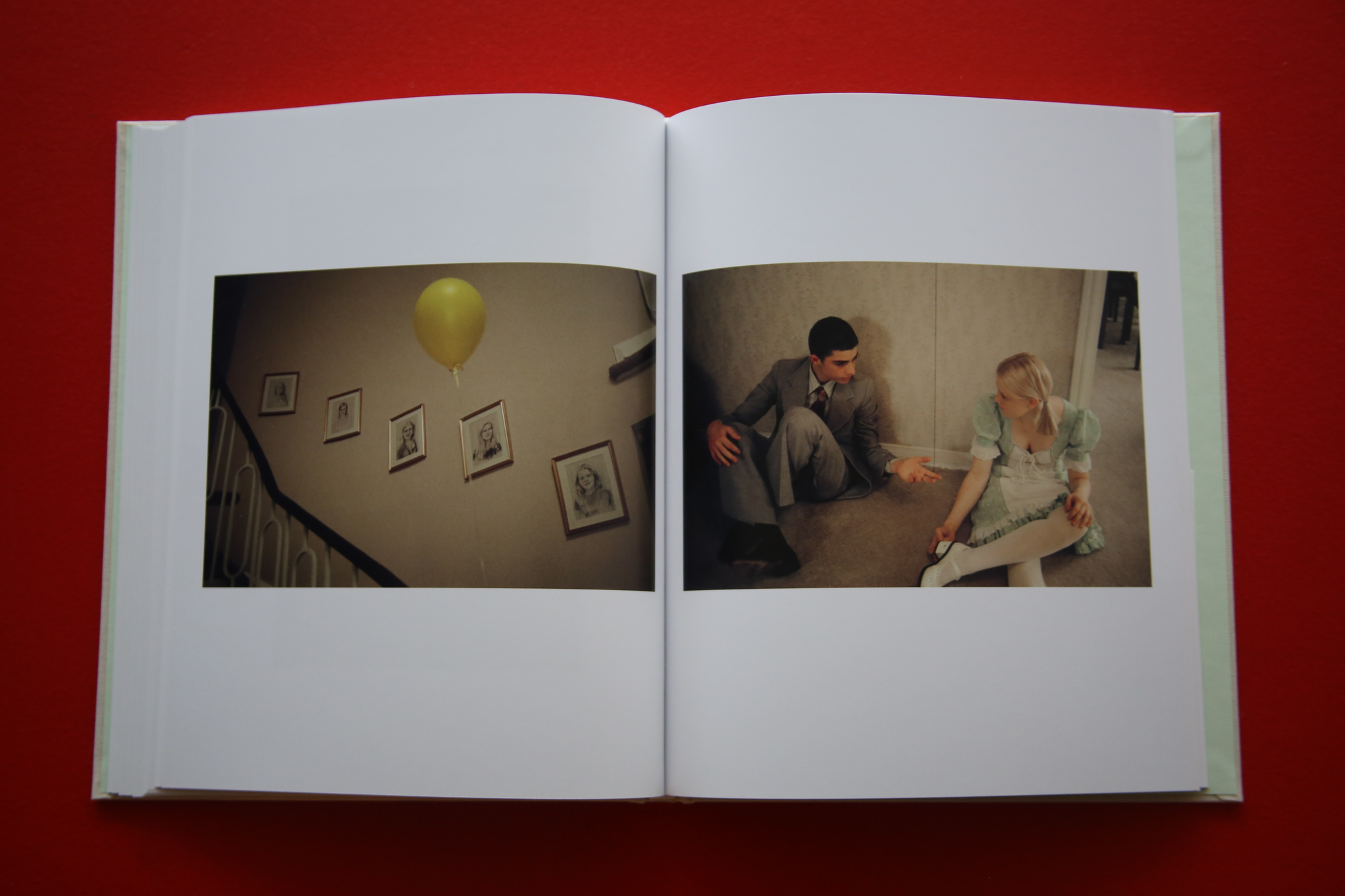SOFIA COPPOLA / THE VIRGIN SUICIDES