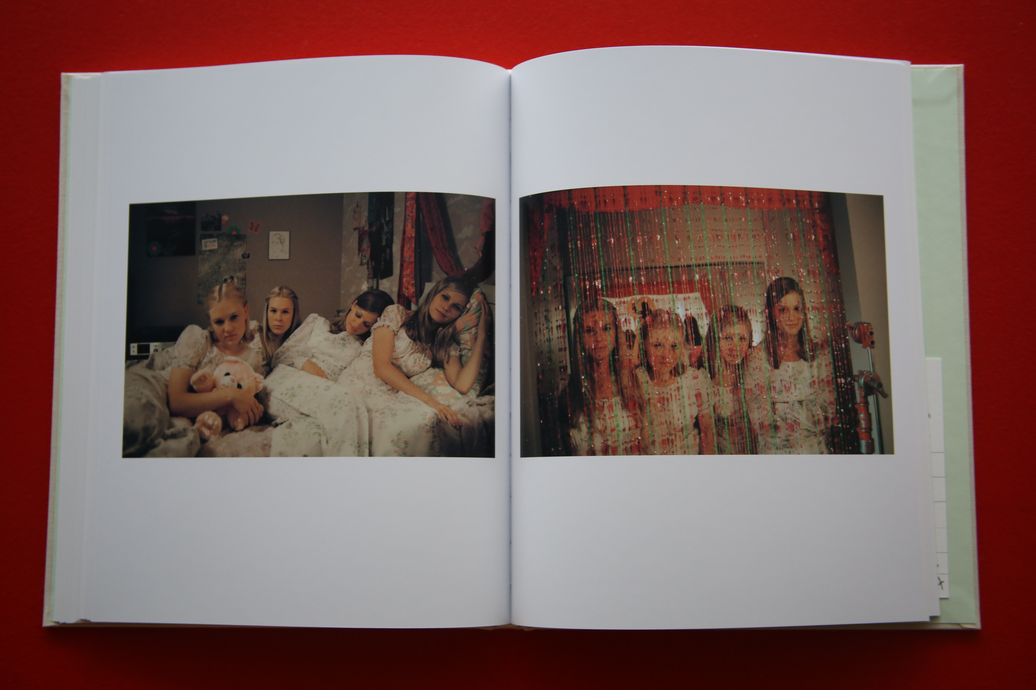 SOFIA COPPOLA / THE VIRGIN SUICIDES