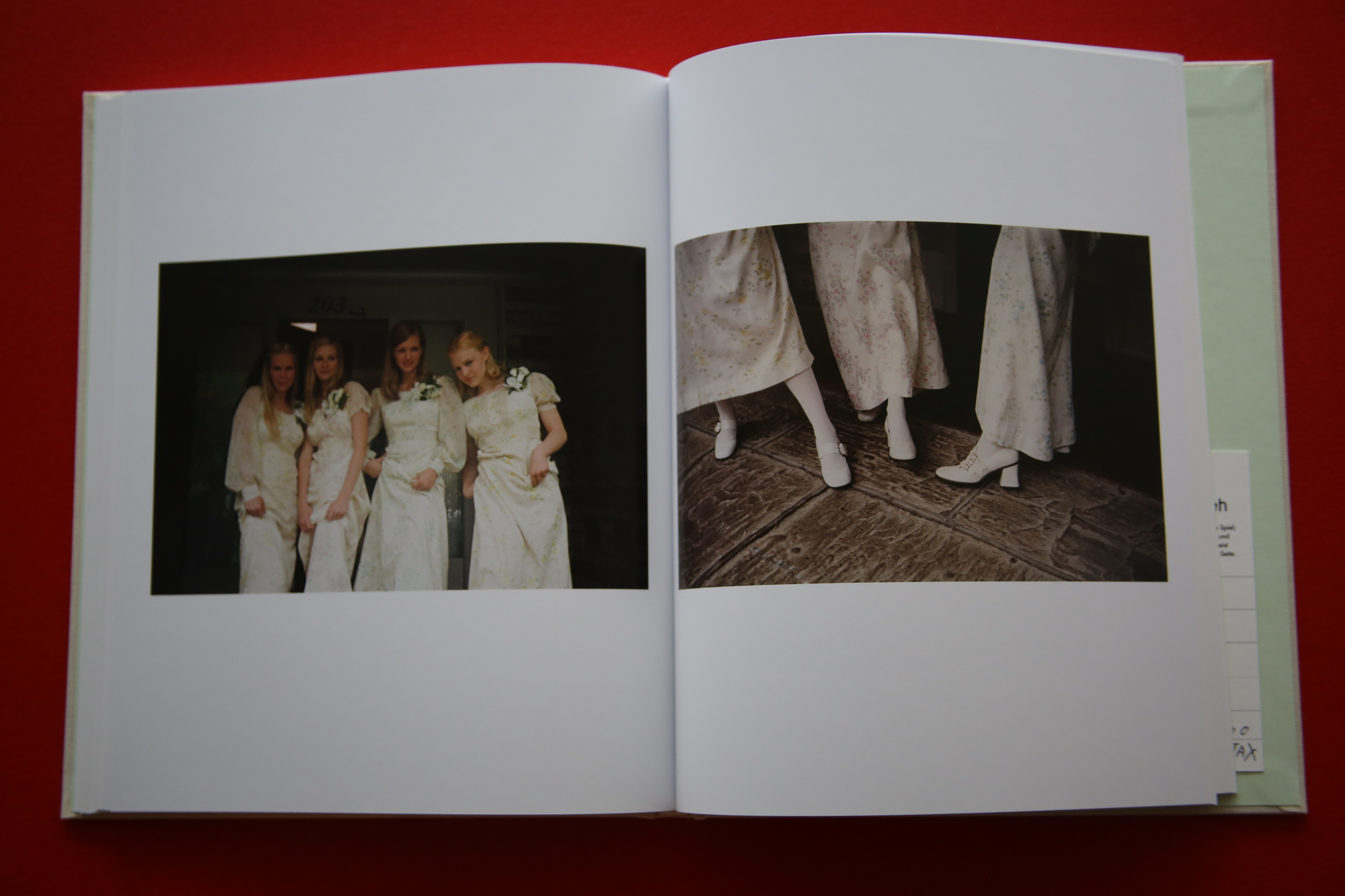SOFIA COPPOLA / THE VIRGIN SUICIDES