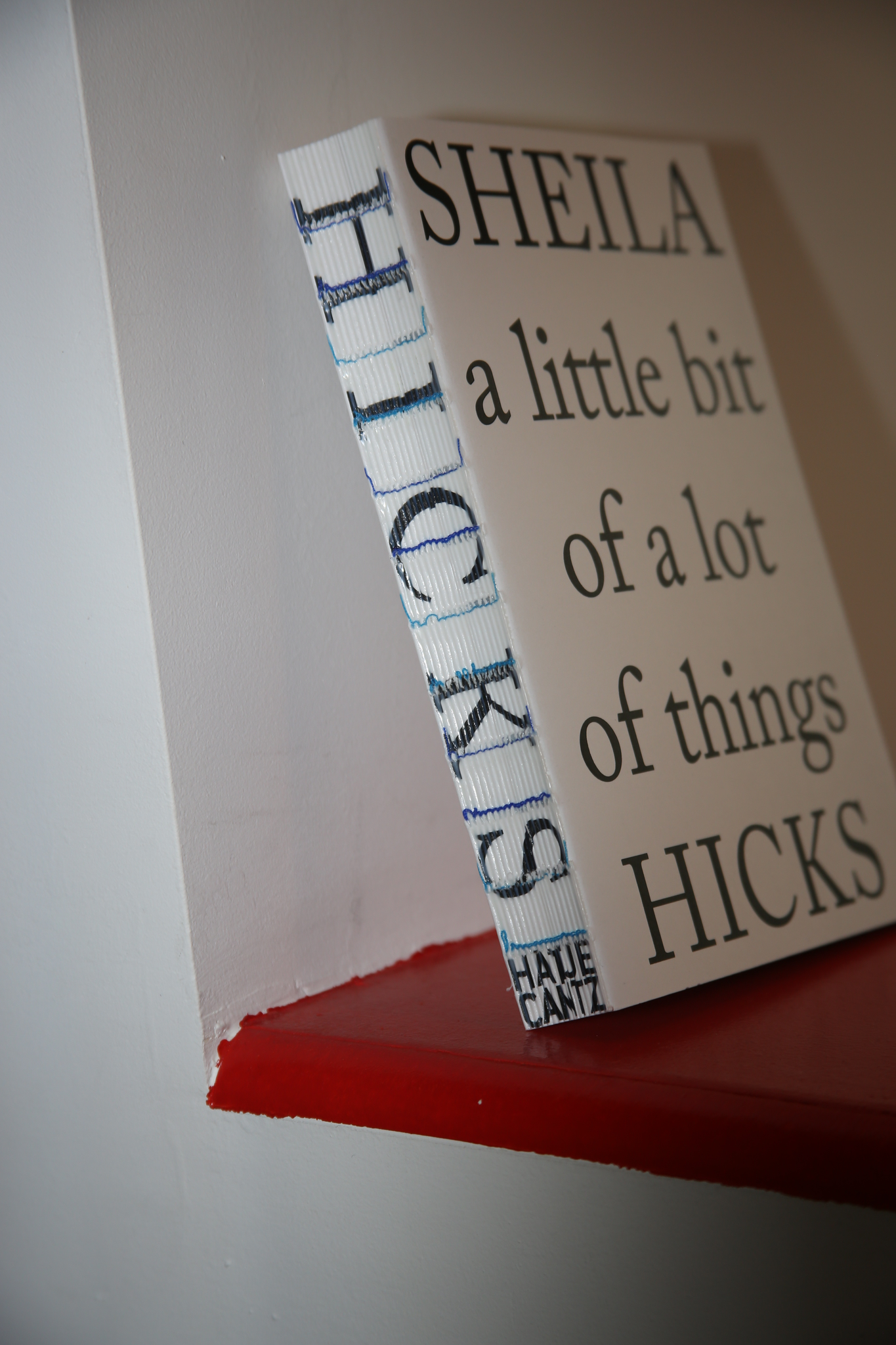 SHEILA HICKS / A LITTLE BIT OF A LOT OF THINGS