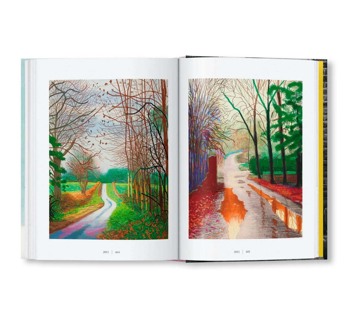 DAVID HOCKNEY. A CHRONOLOGY. 45TH ED. by David Hockney
