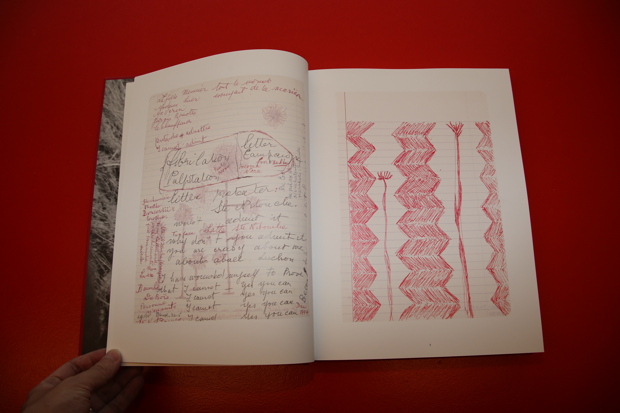 Louise Bourgeois /  THE INSOMNIA DRAWINGS