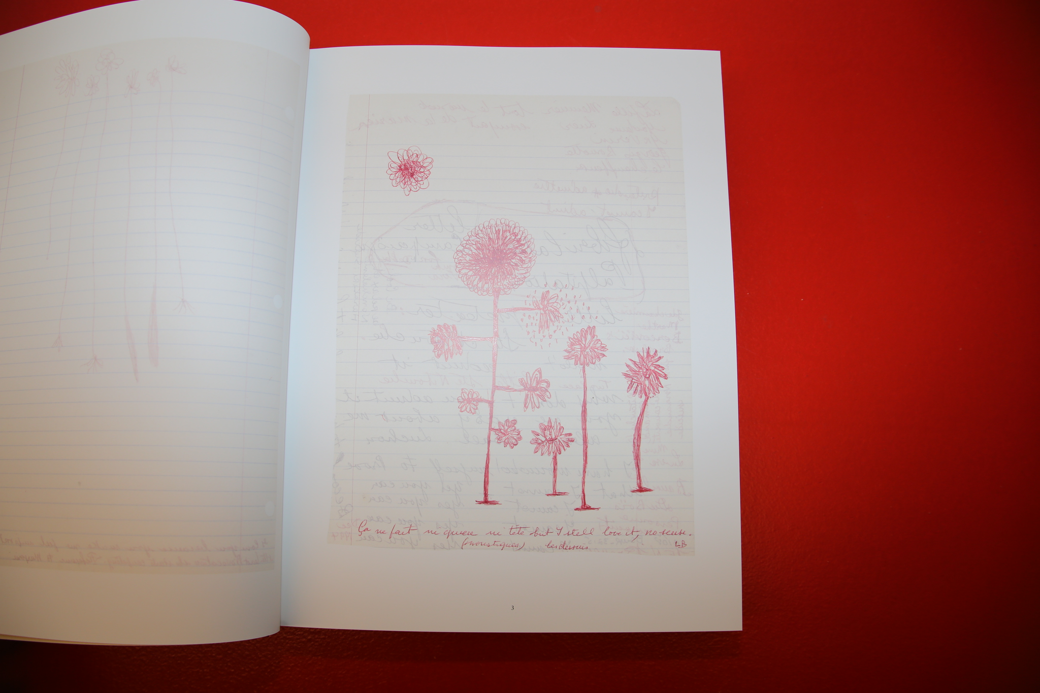 Louise Bourgeois /  THE INSOMNIA DRAWINGS