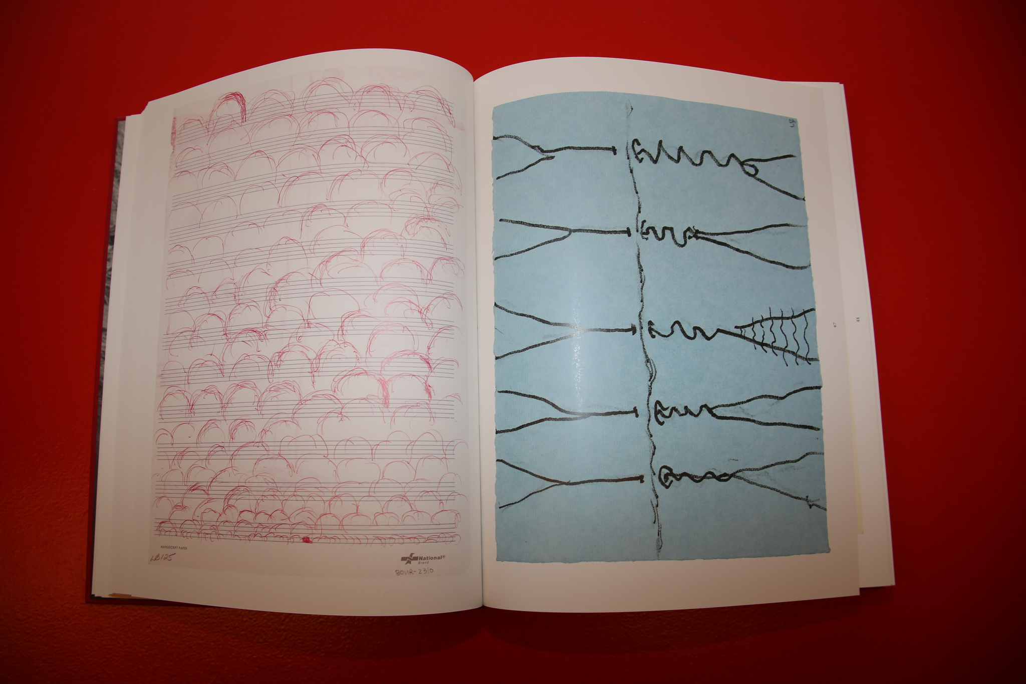 Louise Bourgeois /  THE INSOMNIA DRAWINGS