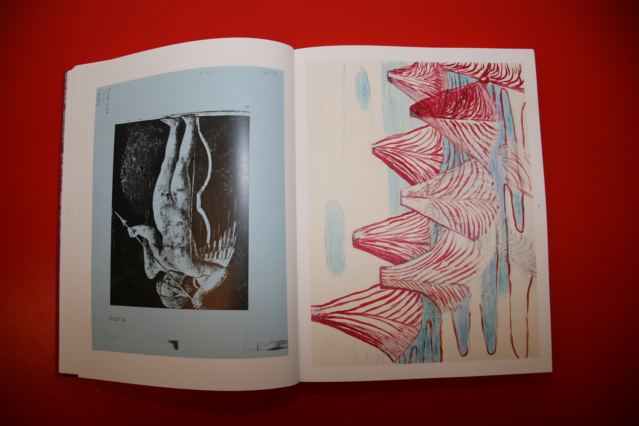 Louise Bourgeois /  THE INSOMNIA DRAWINGS