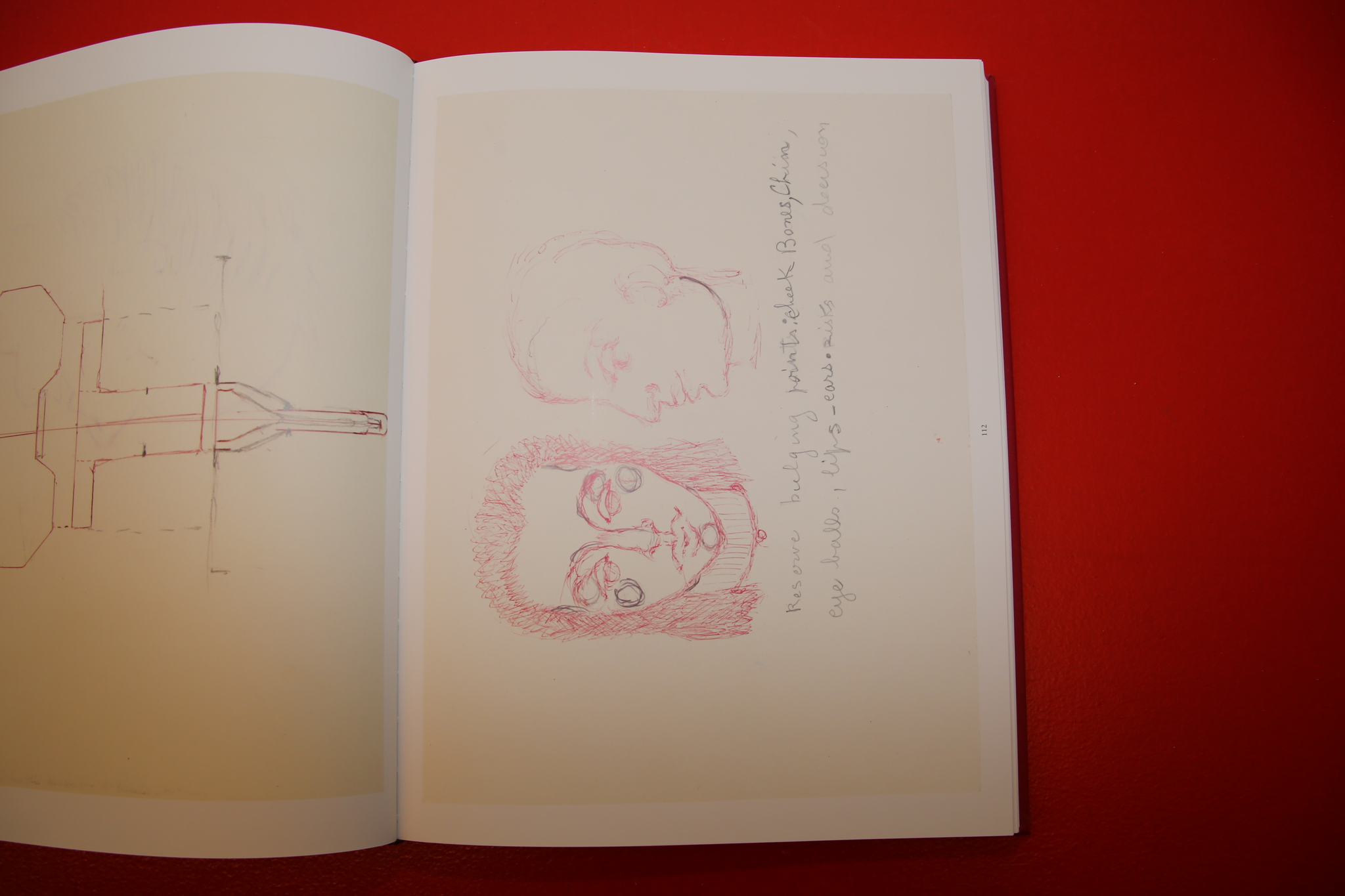 Louise Bourgeois /  THE INSOMNIA DRAWINGS