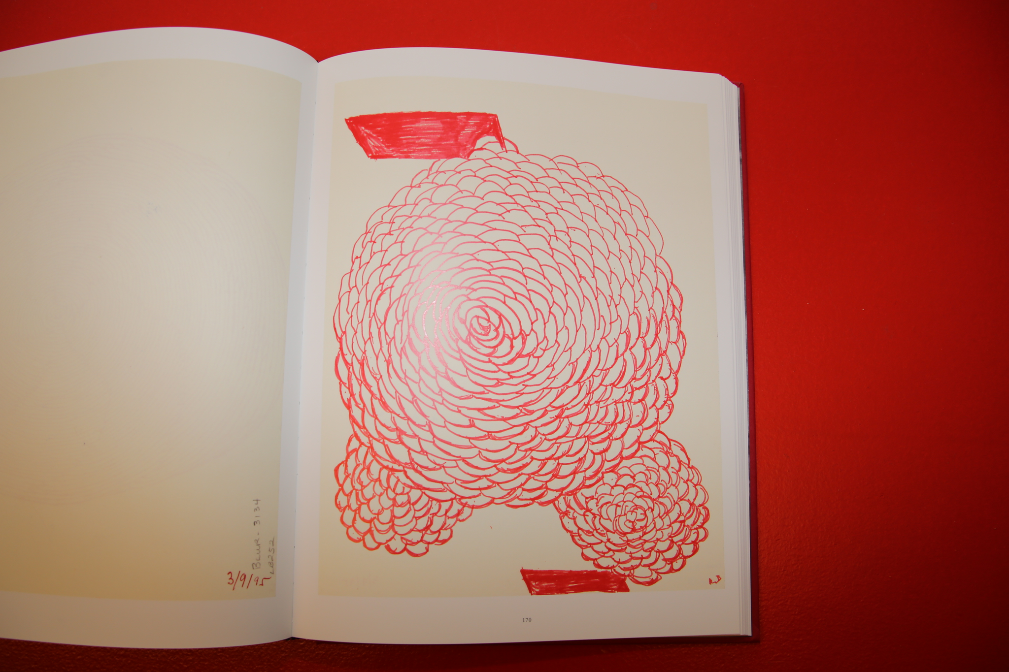 Louise Bourgeois /  THE INSOMNIA DRAWINGS