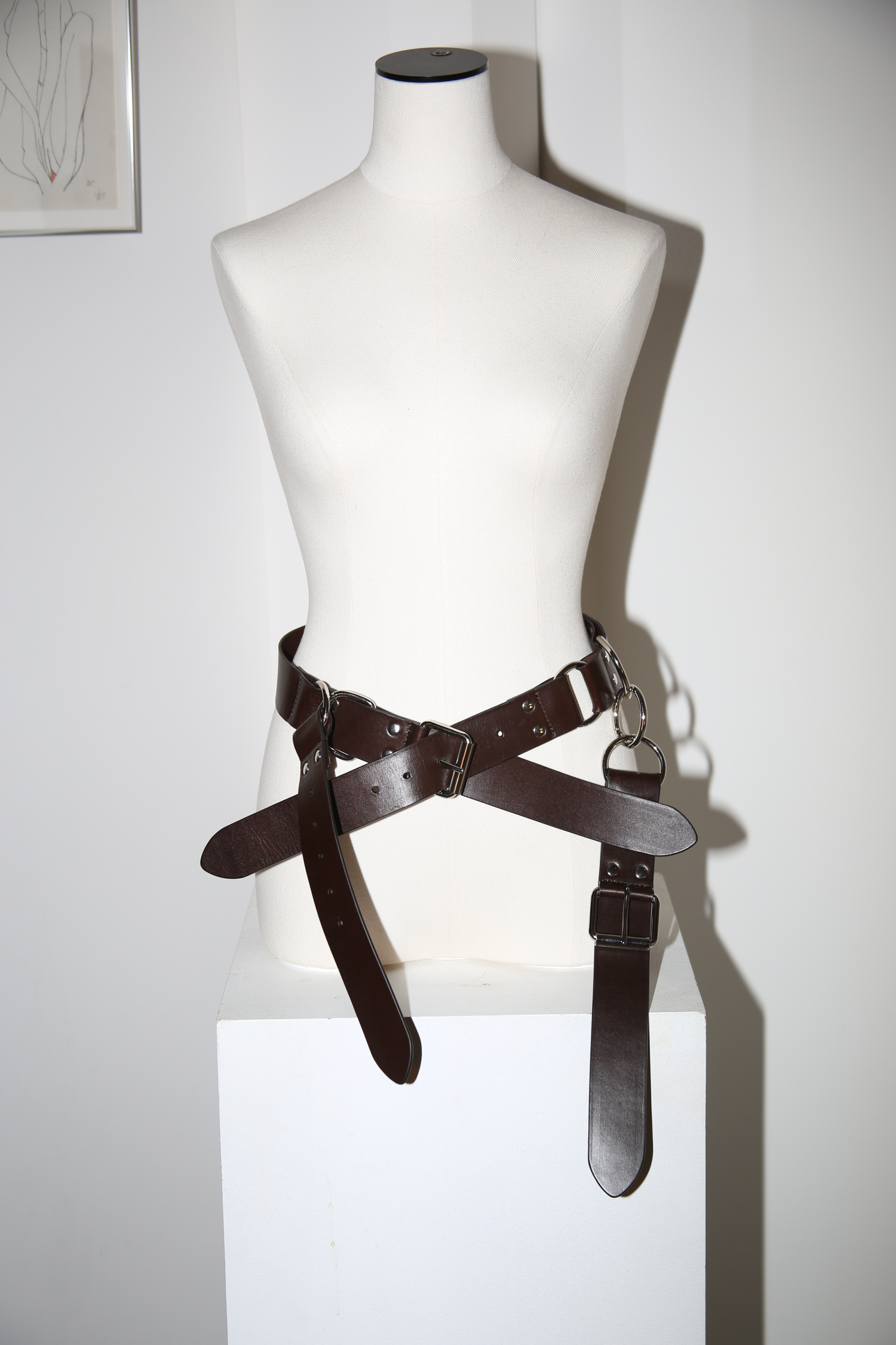 MERYLL ROGGE / 4-TIP BELT IN DIRK BROWN