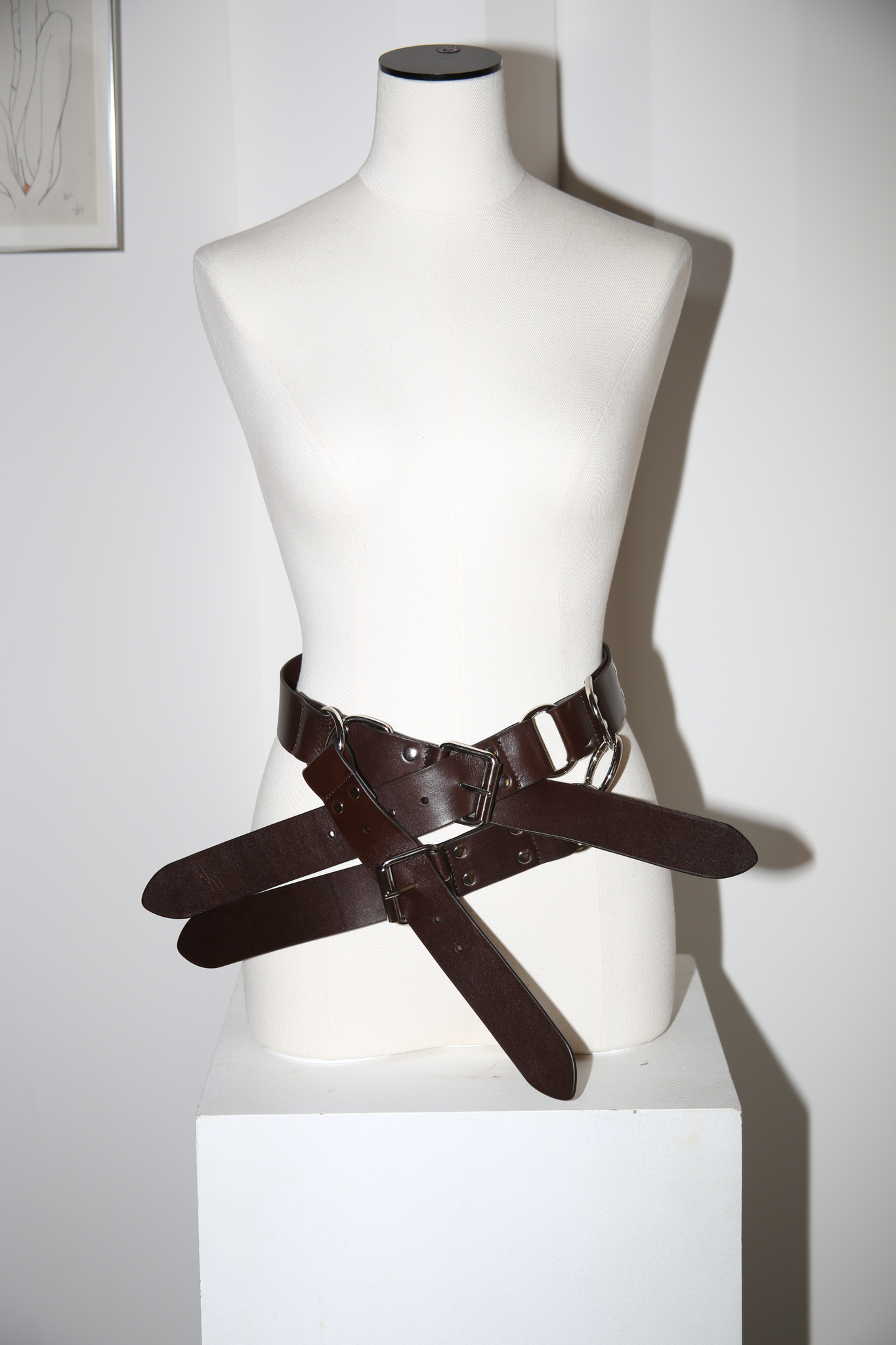 MERYLL ROGGE / 4-TIP BELT IN DIRK BROWN