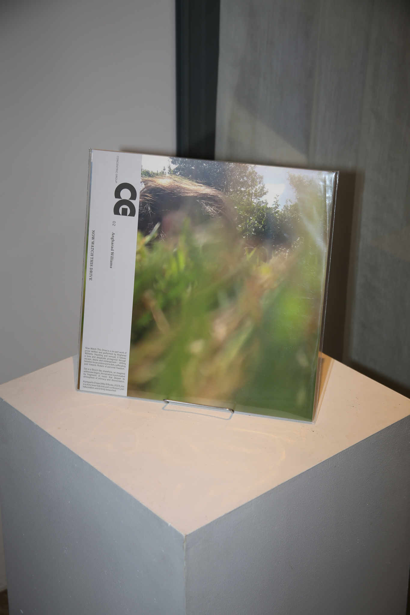 CG02: ANGHARAD WILLIAMS - NOW WATCH THIS DRIVE by Angharad Williams [LP]