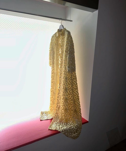 1960 VINTAGE / SILK VELVET FLOCKY MAXI DRESS ROBE